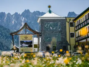 Junior Suite für 4 Personen (38 m²) in Gosau